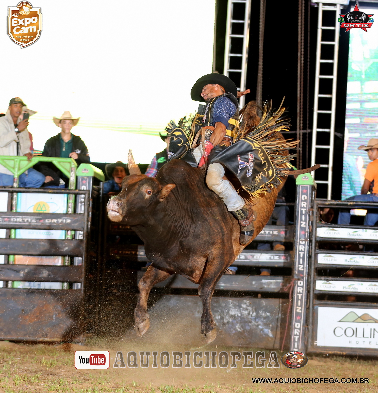 Vídeo: peão de Camapuã é campeão de rodeio em SP e fatura R$ 10