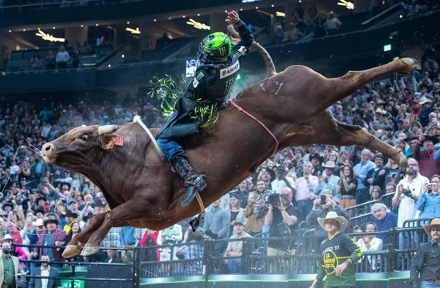 Peão de MS bate recorde com maior nota da história de mundial de rodeio -  Esportes - Campo Grande News